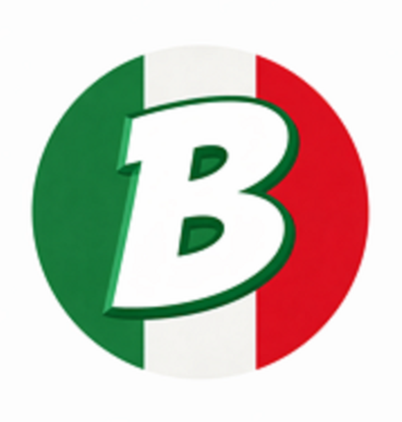 Baja Tours and Transport